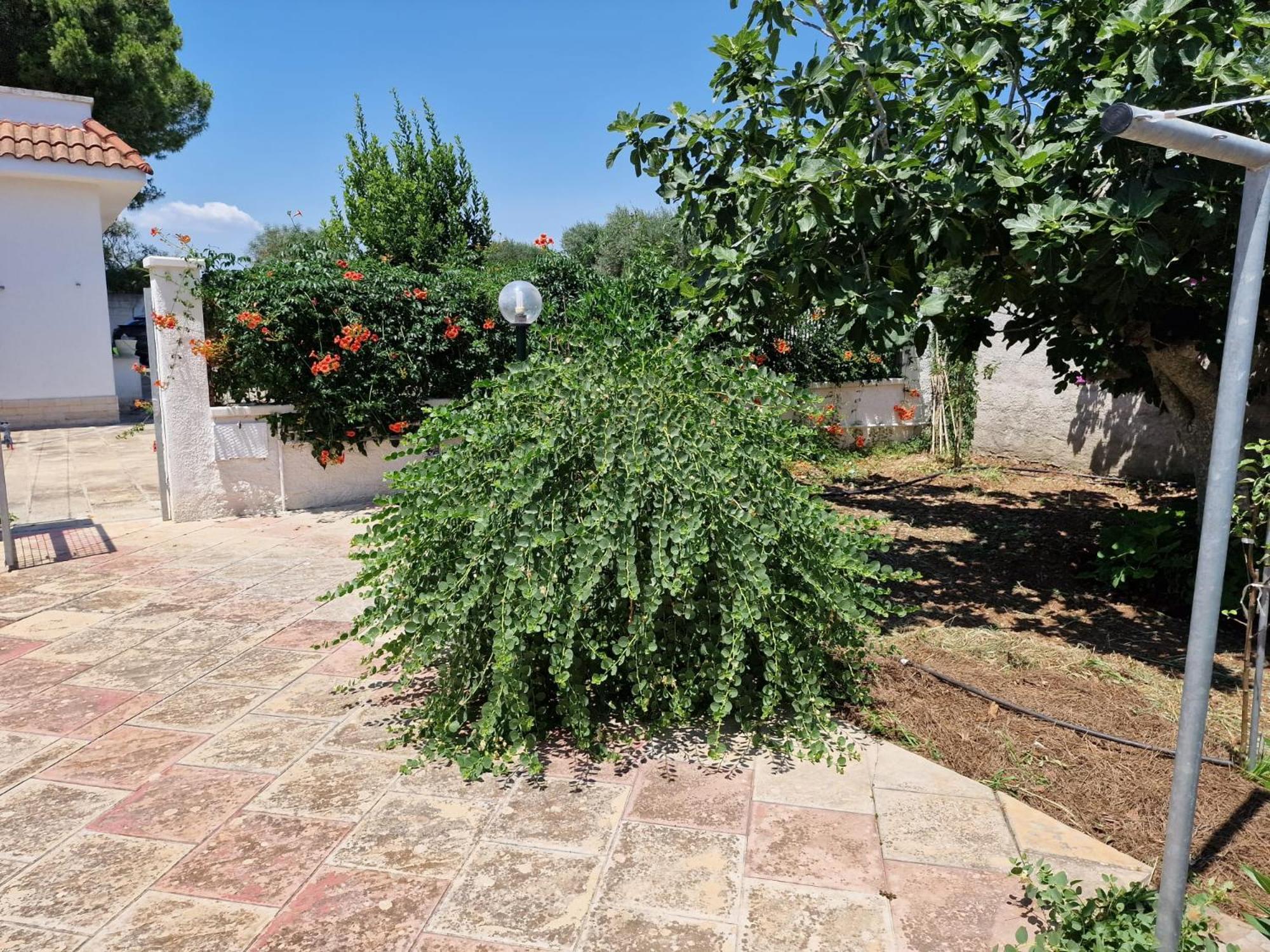 Villa Carmela A San Pietro In Bevagna Zewnętrze zdjęcie